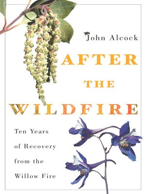 cover image of After the Wildfire